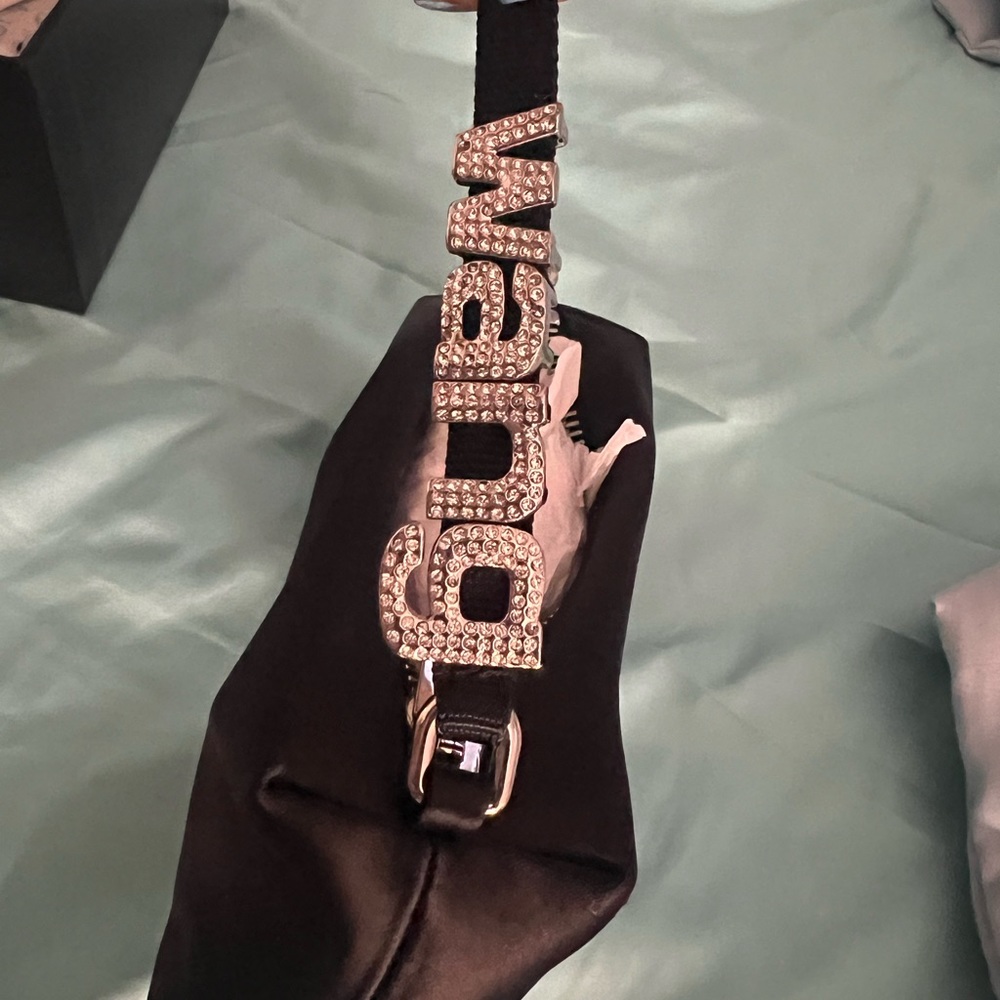 Alexander Wang medium-sized satin pouch with a webbed crystal logo top handle